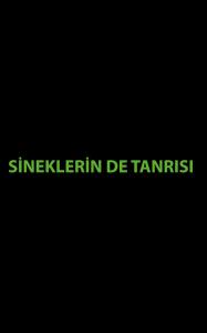 SİNEKLERİN DE TANRISI