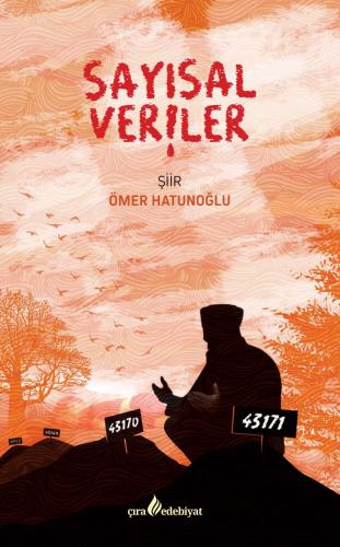 SAYISAL VERİLER