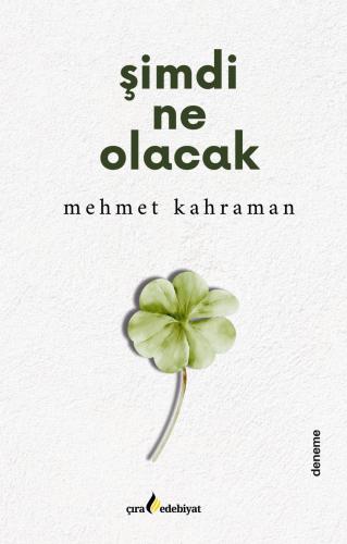 ŞİMDİ NE OLACAK