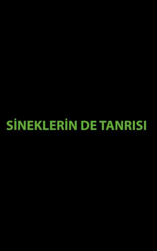 SİNEKLERİN DE TANRISI