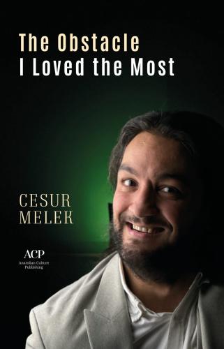 THE OBSTACLE I LOVED THE MOST